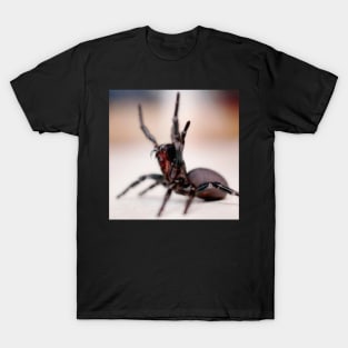 Sydney Funnel Web Spider -Atrax robustus T-Shirt